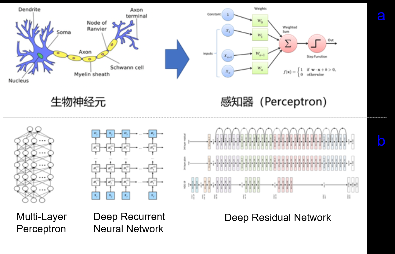 模拟人脑结构，针对各种任务设计不同的深度学习模型